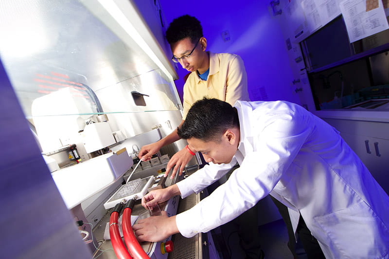 Two researchers work under a fume hood in a lab at the University of Maryland, College Park.